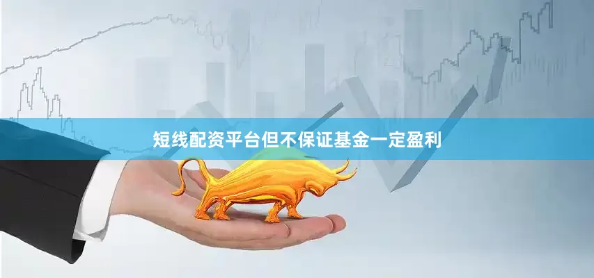 短线配资平台但不保证基金一定盈利